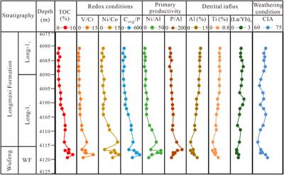 Influence of the sedimentary environment of the Wufeng-Longmaxi shale on organic matter accumulation in the Dingshan area, Sichuan Basin